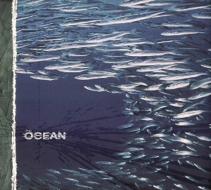  The Ocean - Fluxion (origineel) 